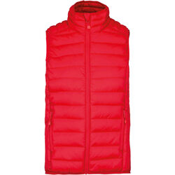 Bodywarmer Homme Doudoune Légère Bodywarmer Homme Doudoune Légère
